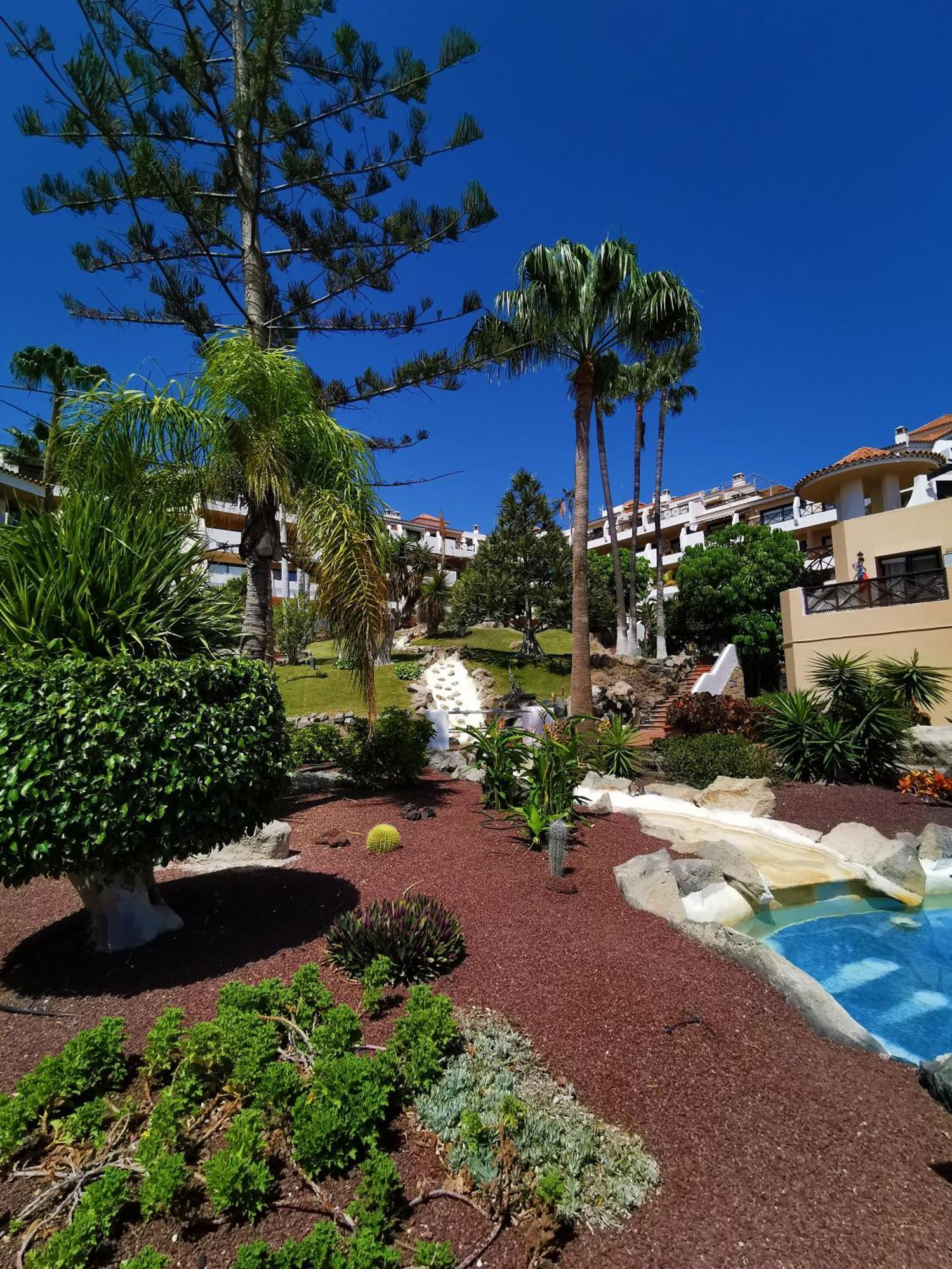Strelitzia Apartment - Ocean View & Heated Pool San Miguel de Abona Bagian luar foto